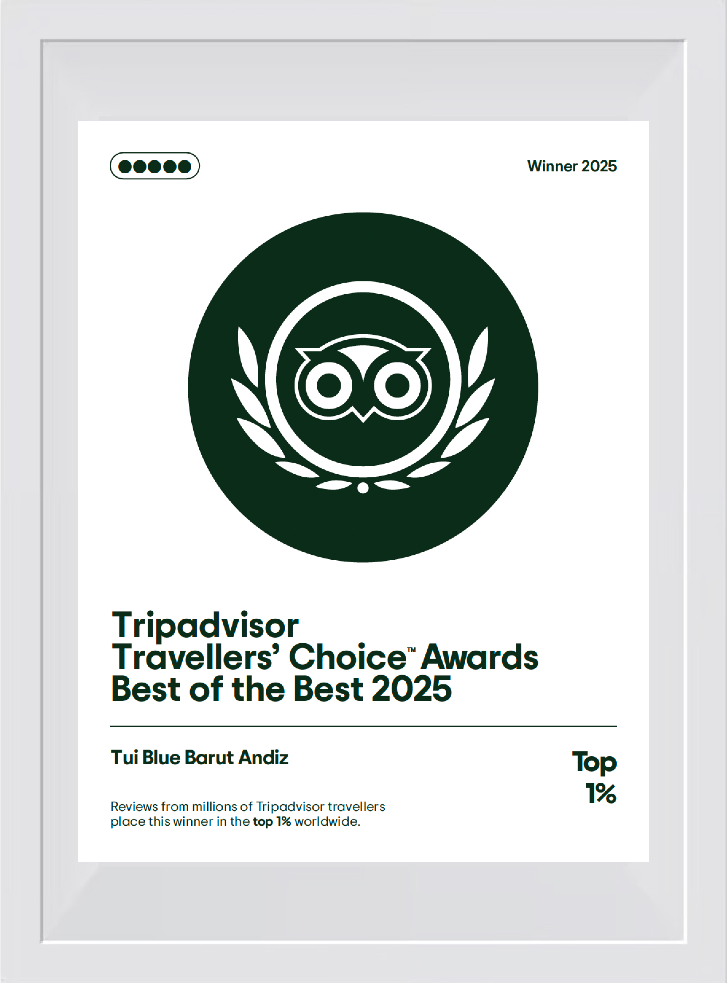 Tripadvisor Traveller's Choice Awards Best of the Best 2025